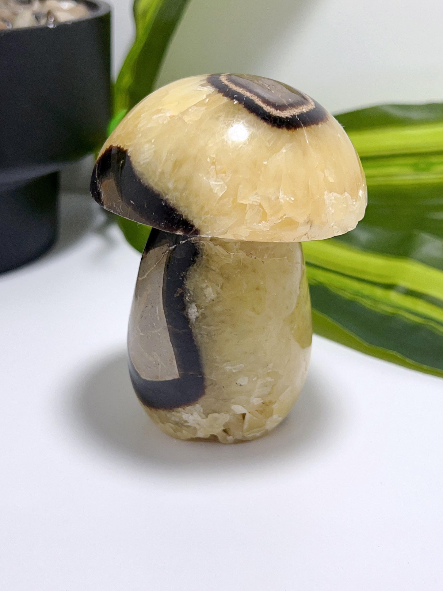 Septarian Mushroom 480g