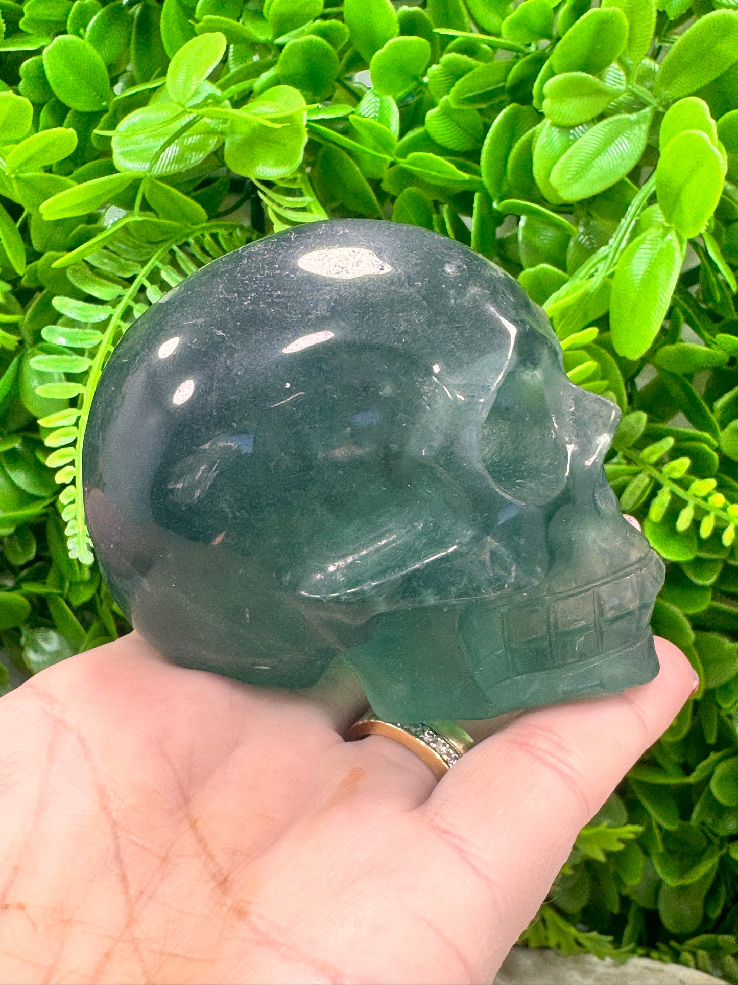 Green Fluorite Skull 522g