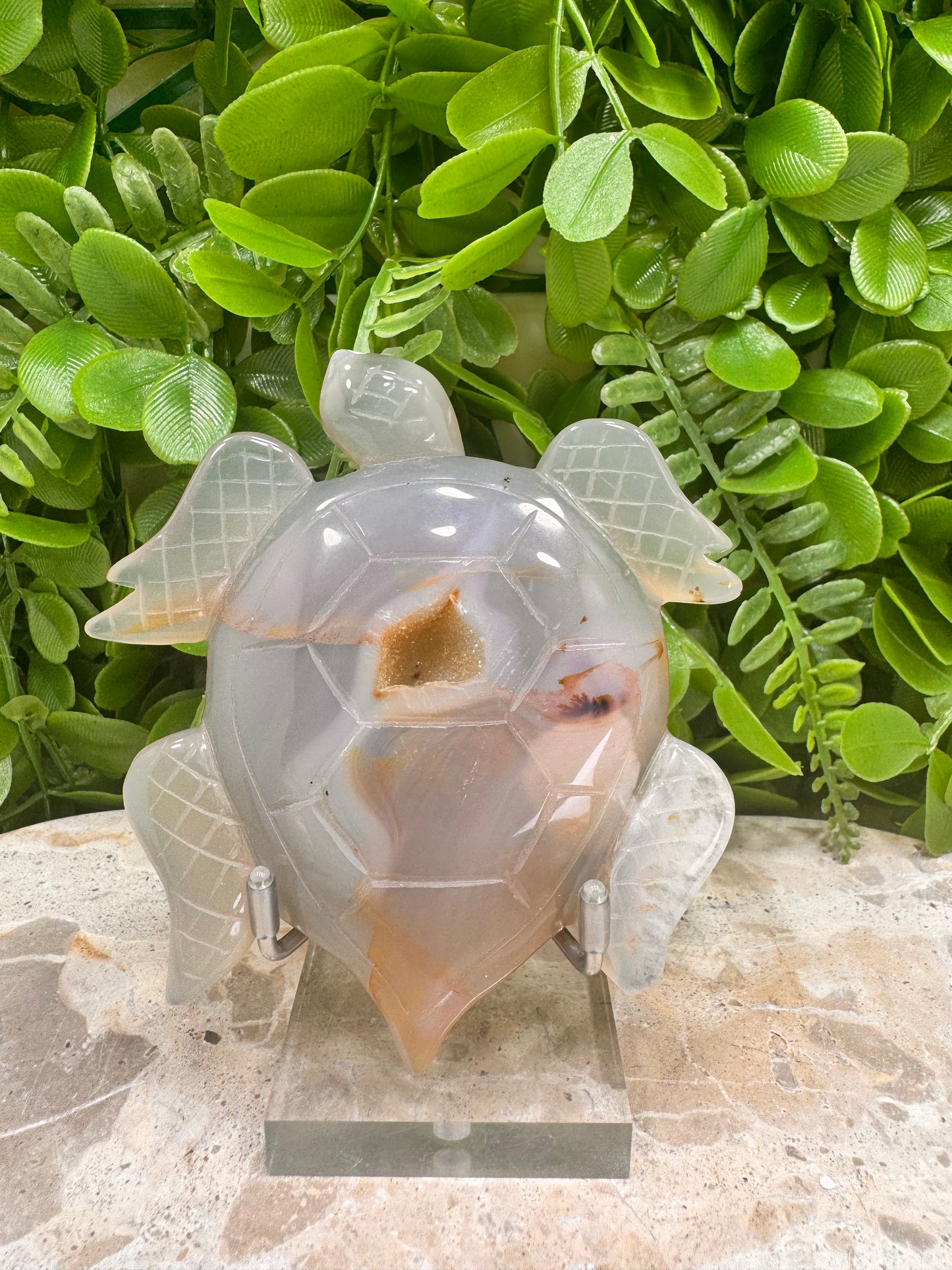 Druzy Agate Turtle 172g