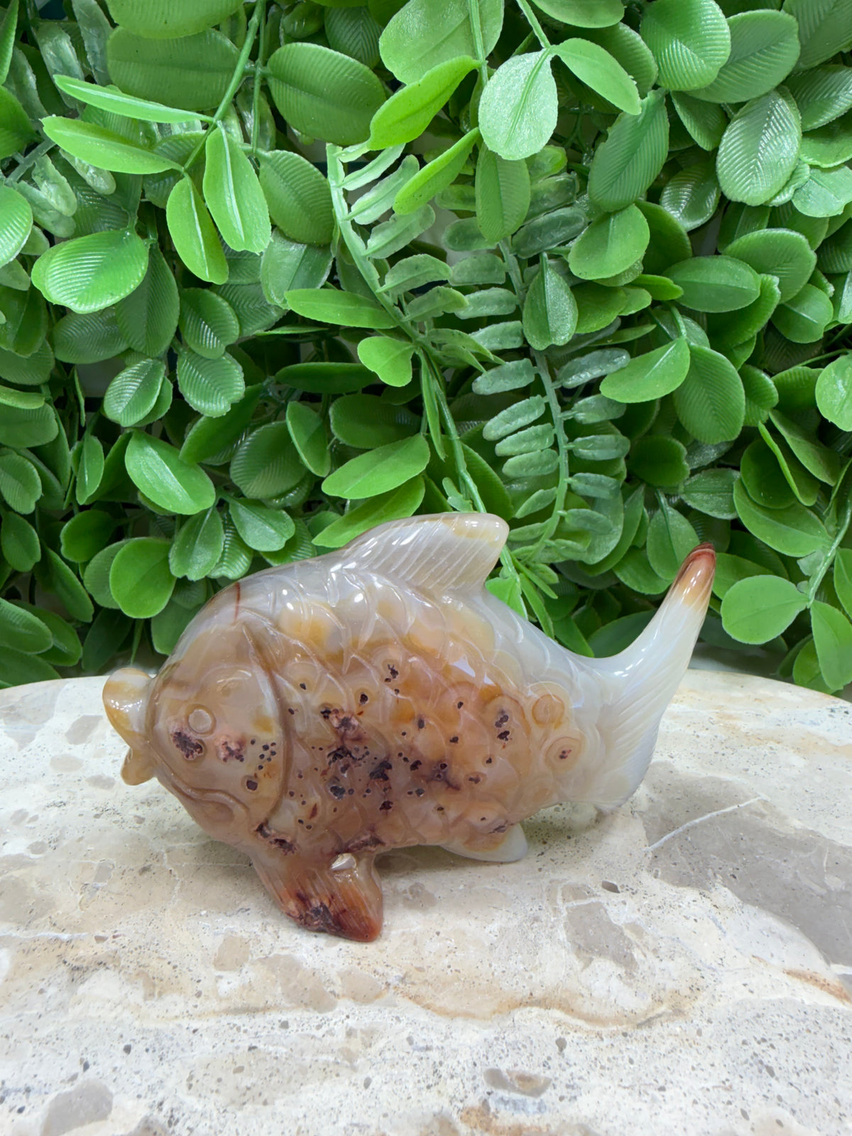 Carnelian Fish 198g | Motivation • Confidence • Creativity