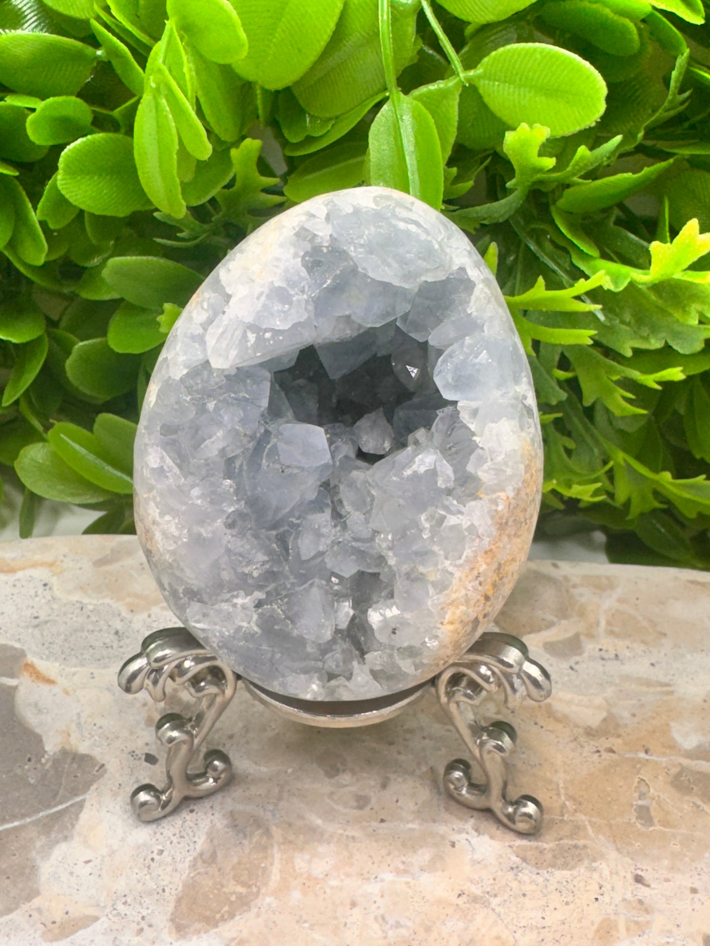 Blue Celeste Egg 510g