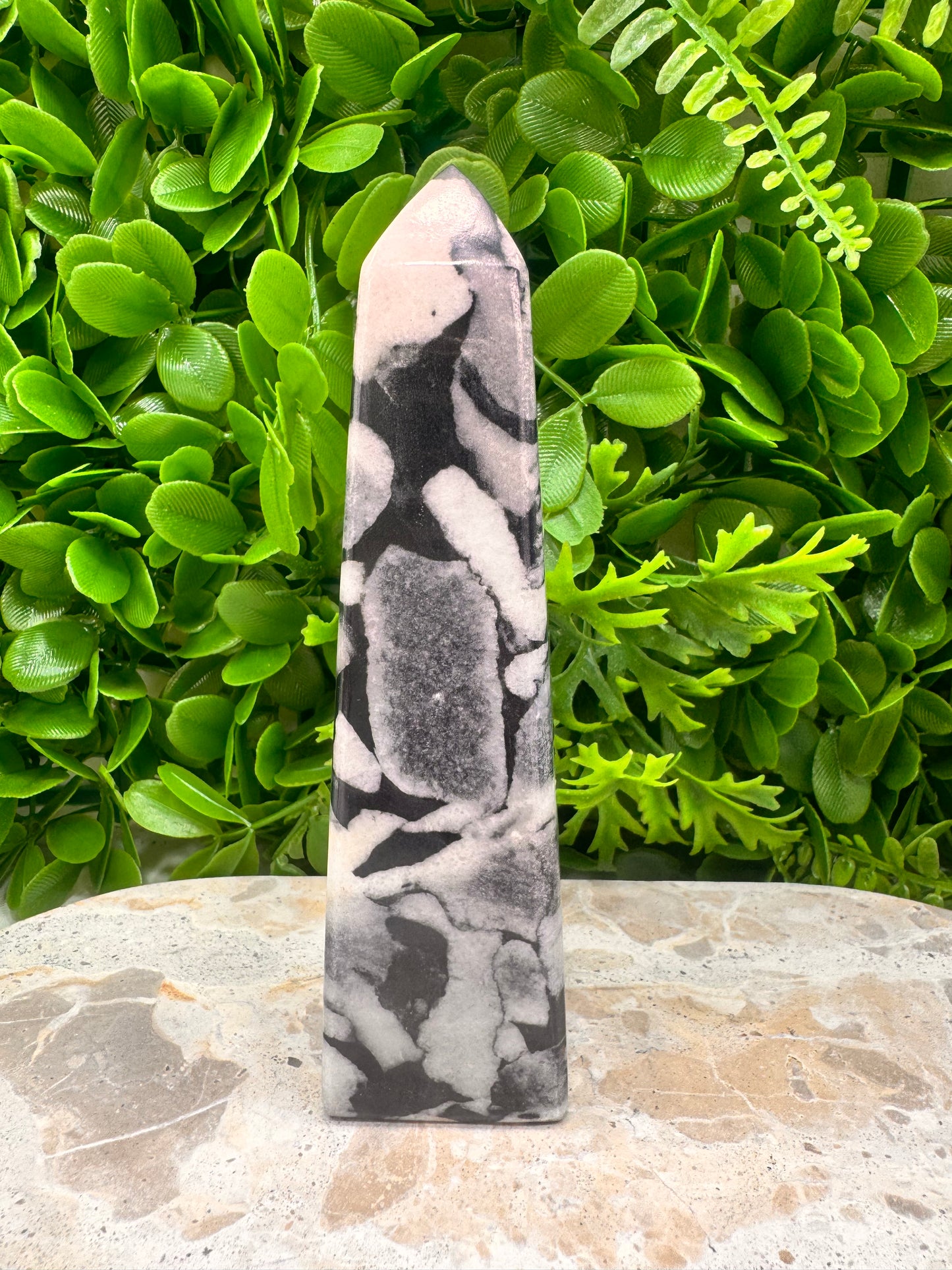 Shell Jasper Tower 420g
