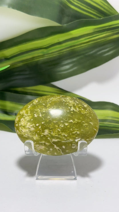 Dotted Serpentine Palm Stone 90g