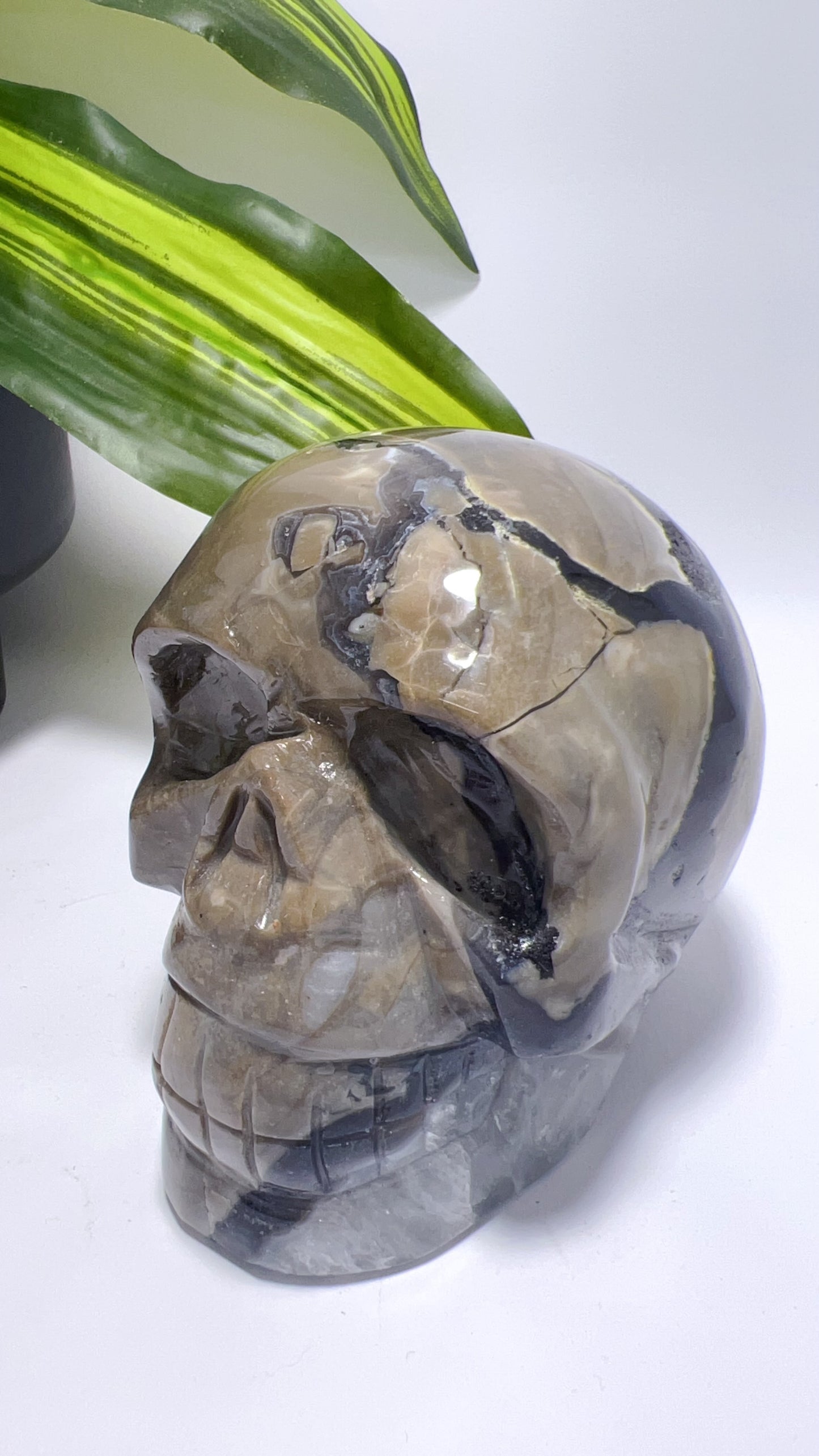 Volcanic Agate Skull 1156g