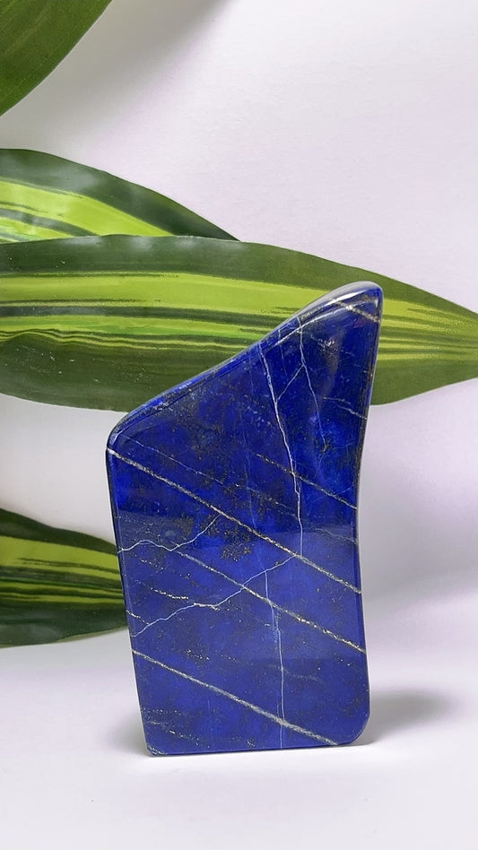Lapis  Lazuli Freeform 392g