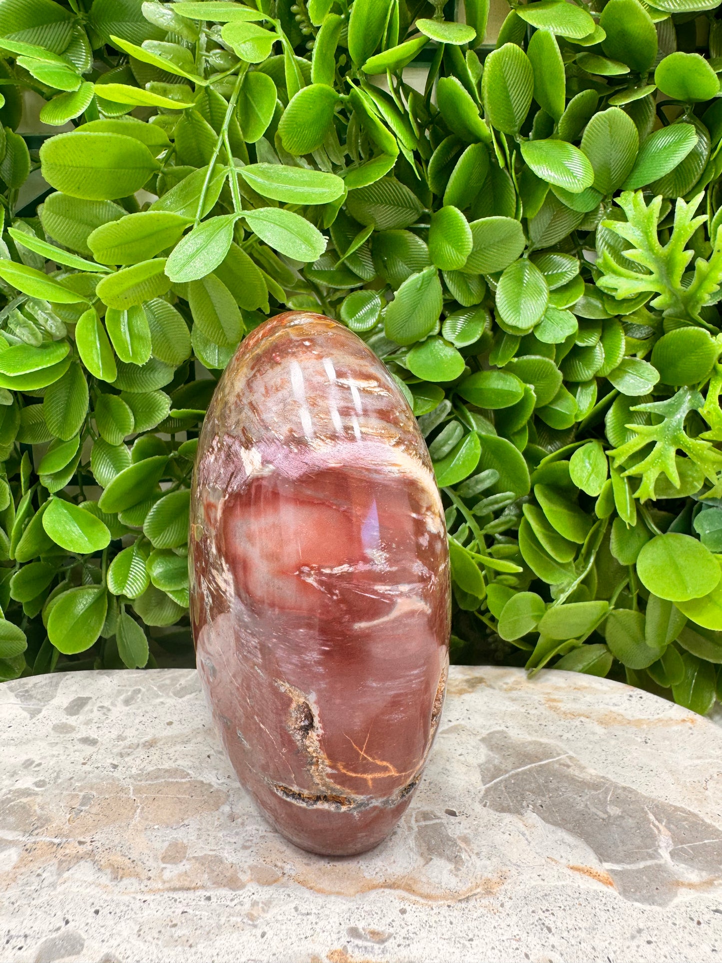 Petrified Wood Freeform 1028g