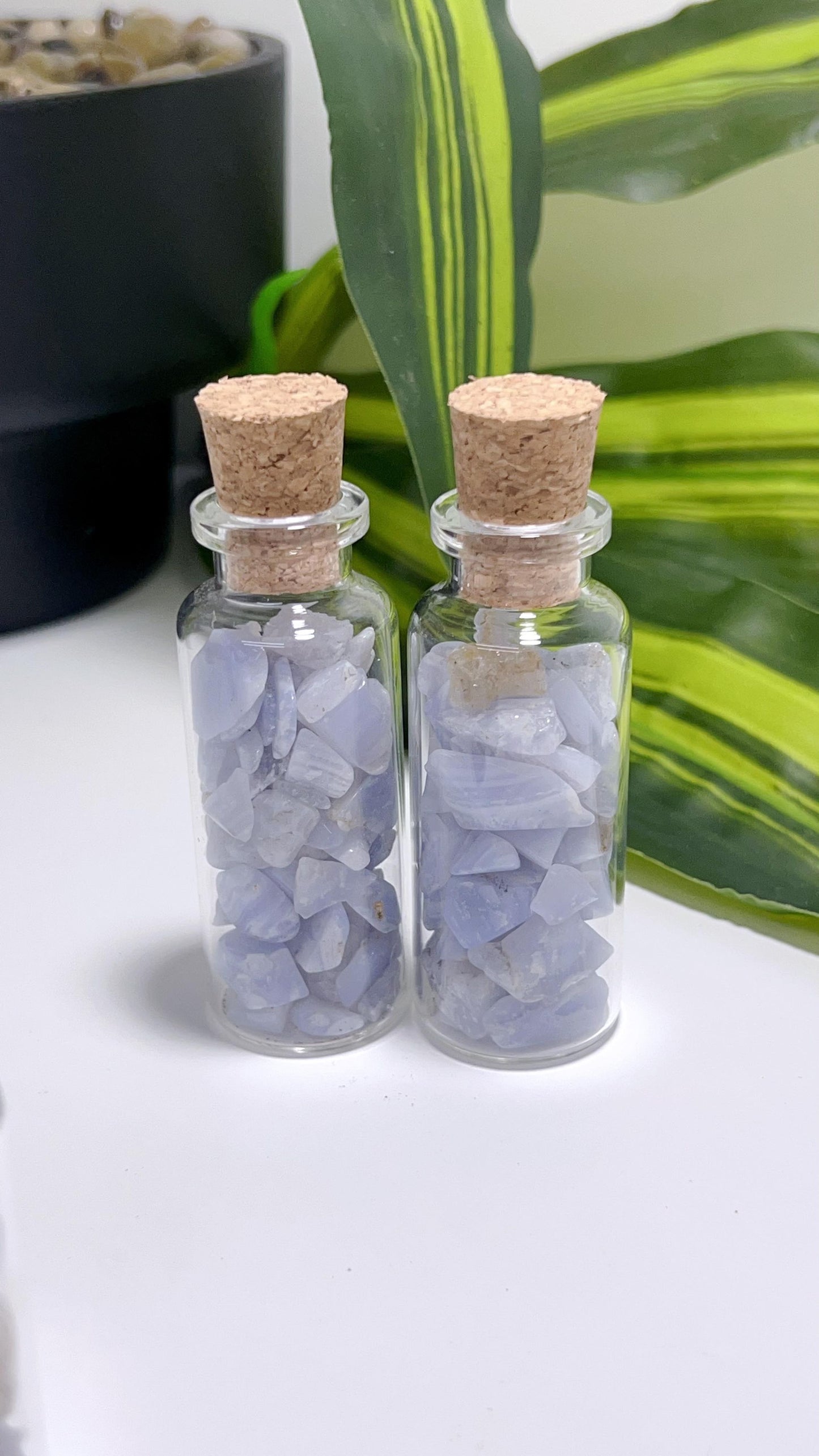 Blue Lace Chip Bottles app 50g