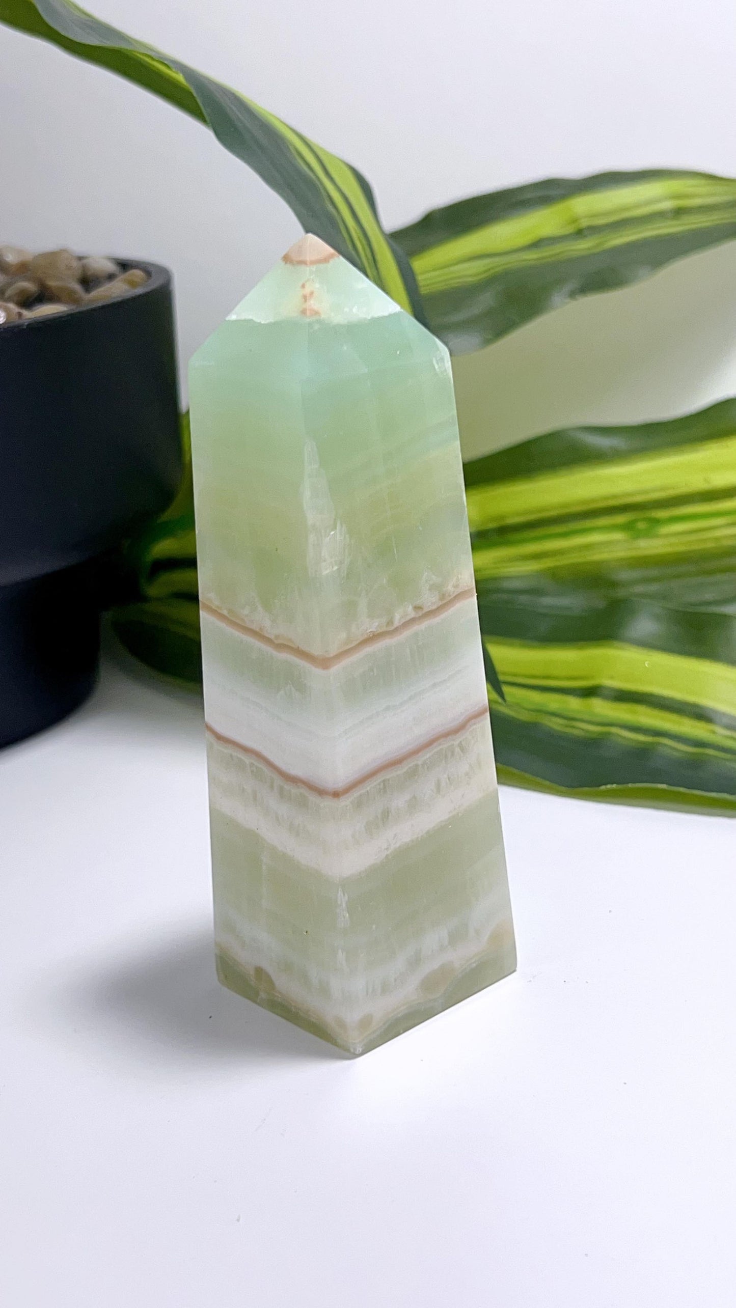 Pistachio Tower 304g