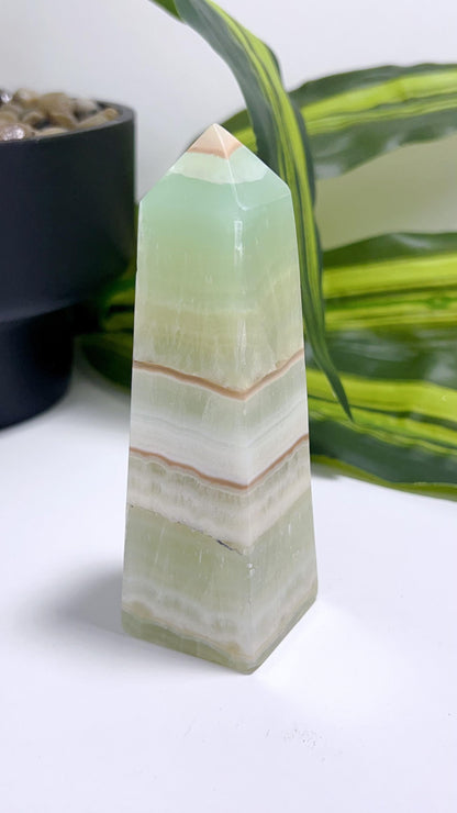 Pistachio Tower 244g