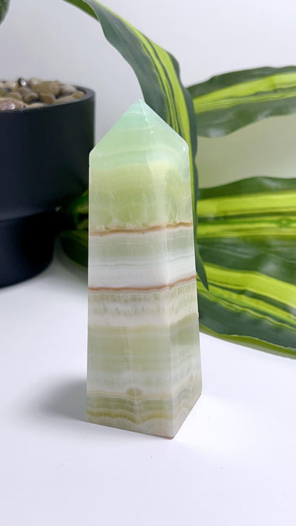 Pistachio Tower 304g