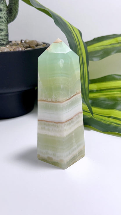 Pistachio Tower 304g