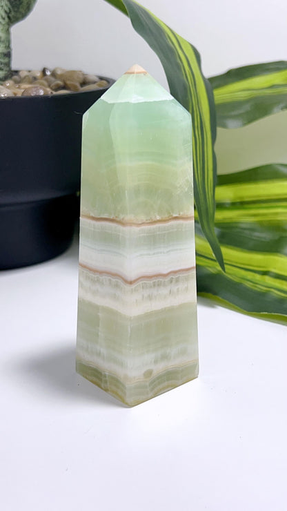 Pistachio Tower 304g