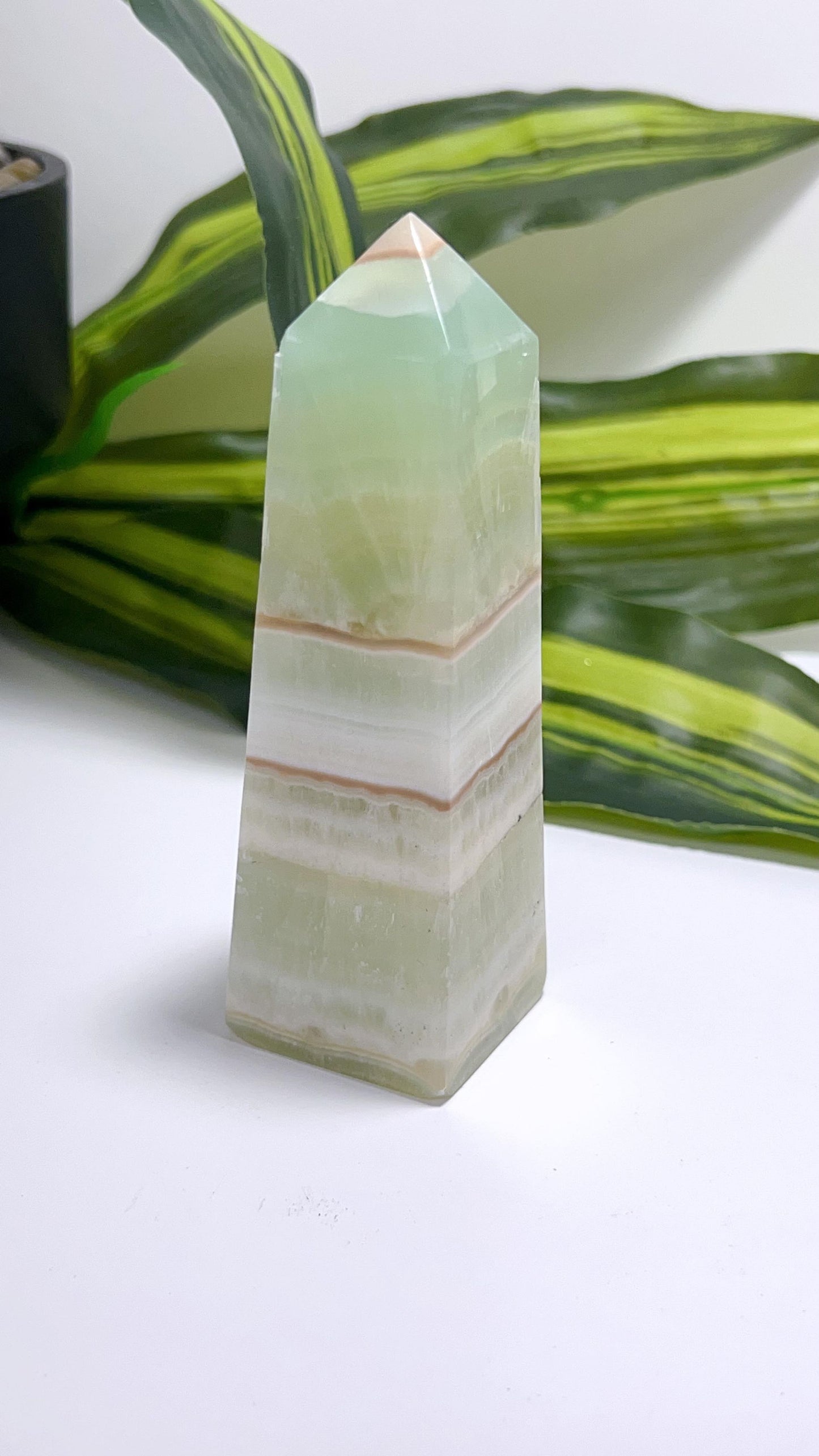 Pistachio Tower 244g