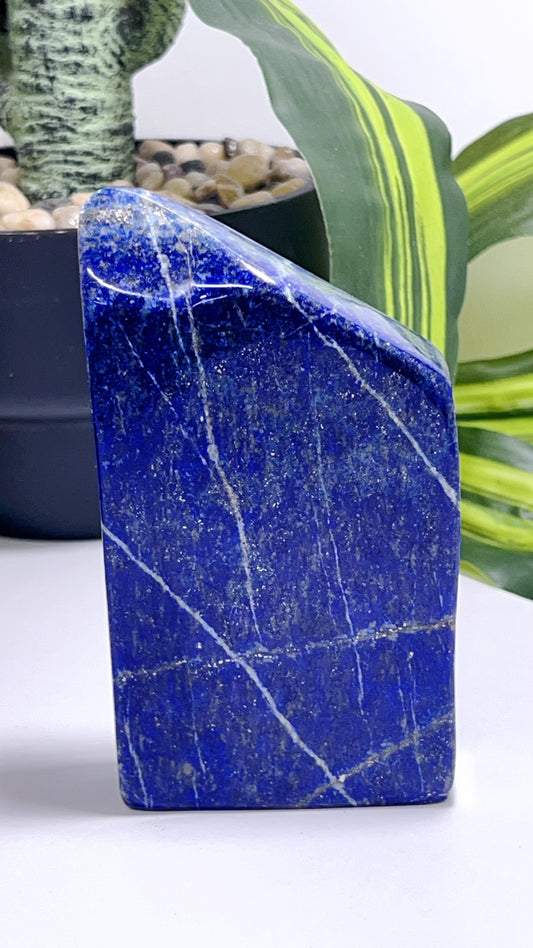 Lapis Lazuli Freeform 616G