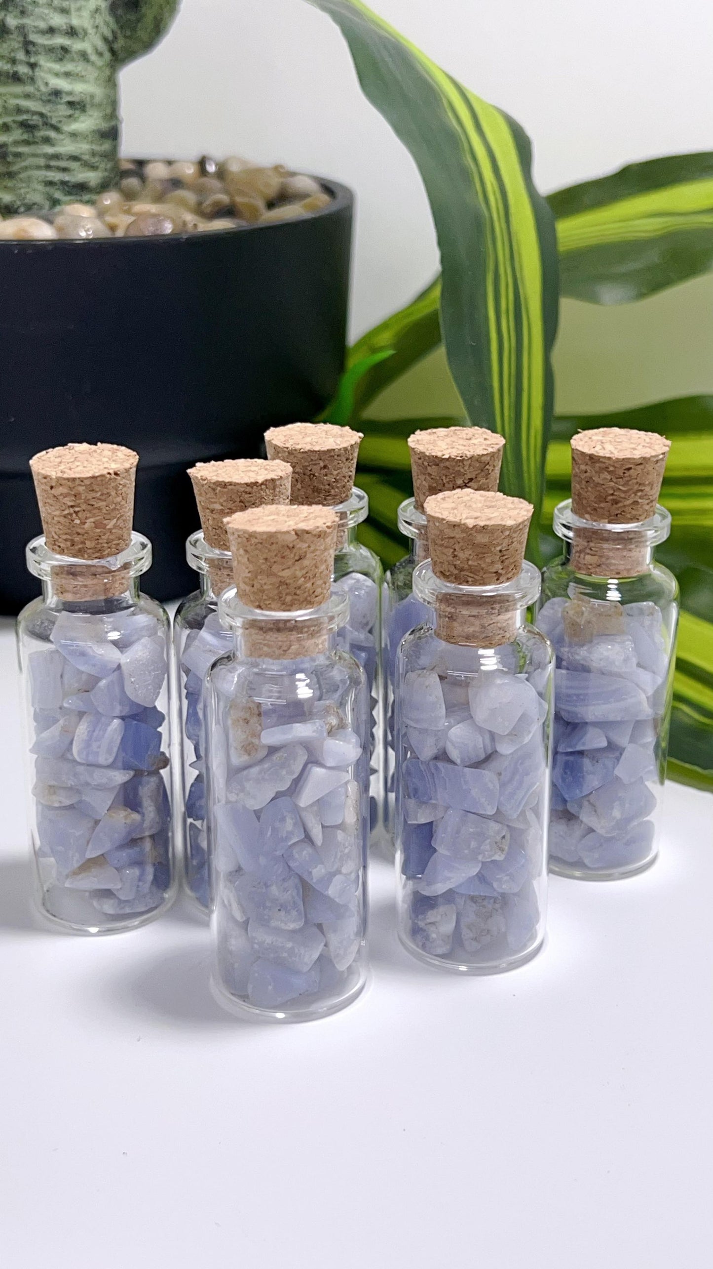 Blue Lace Chip Bottles app 50g