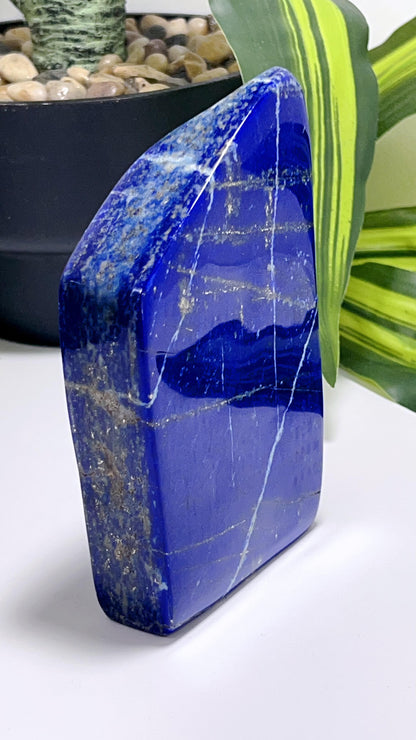 Lapis Lazuli Freeform 616G