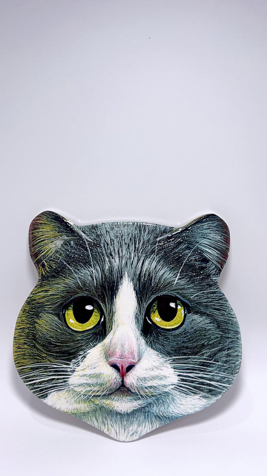 Cat Tivet N#6