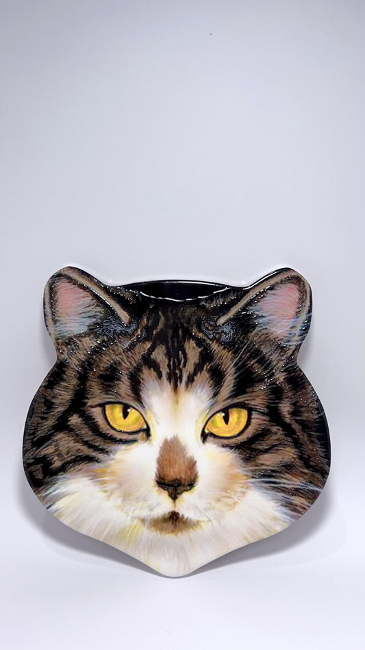 Cat Tivet N#4