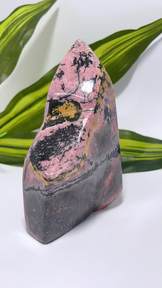 Rhodonite Freeform 1.1kg