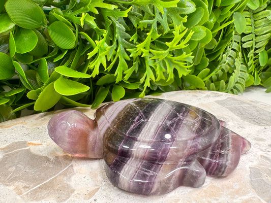 Silky Fluorite Turtle 350g