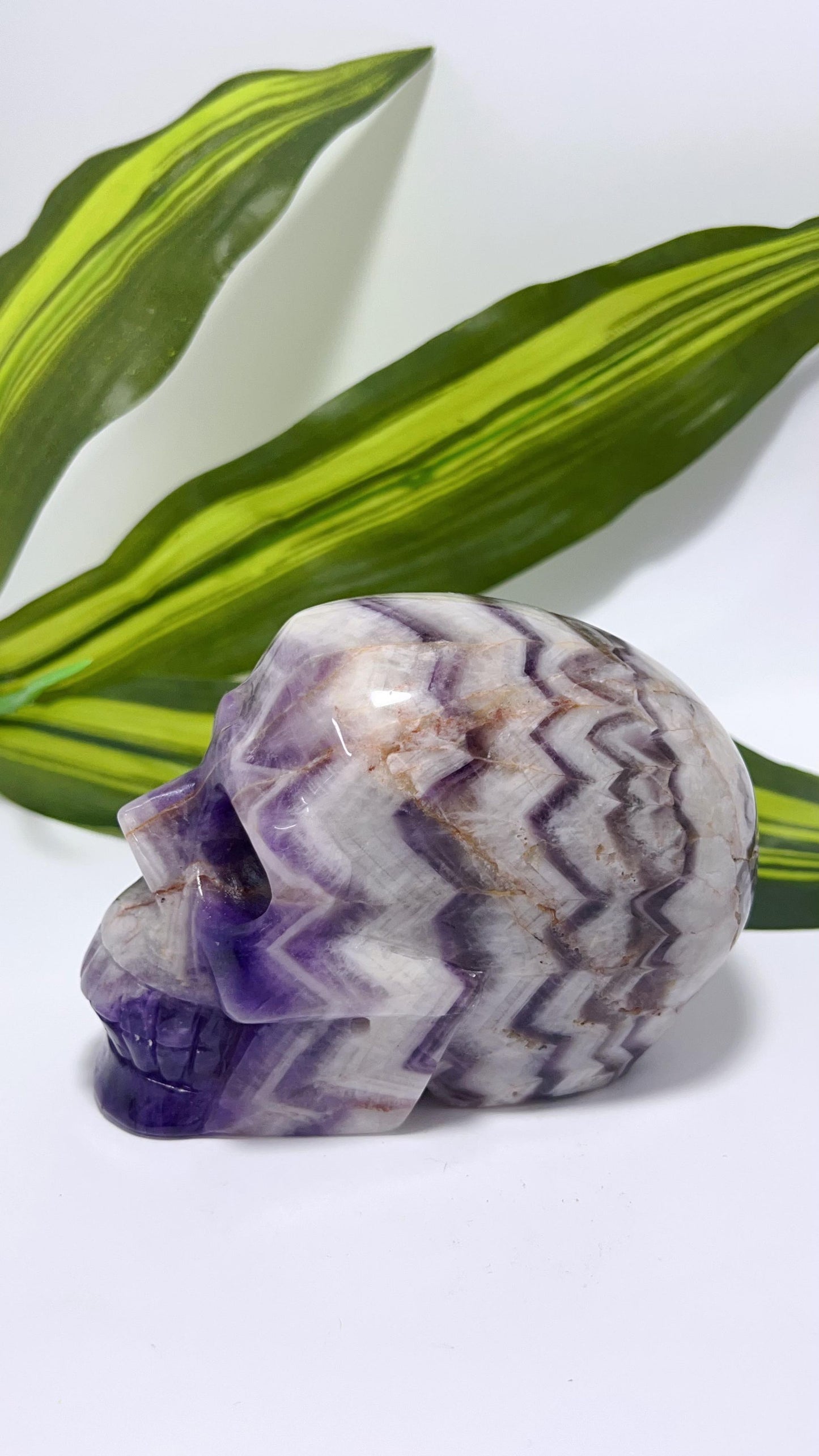 Chevron Amethyst Skull 888g