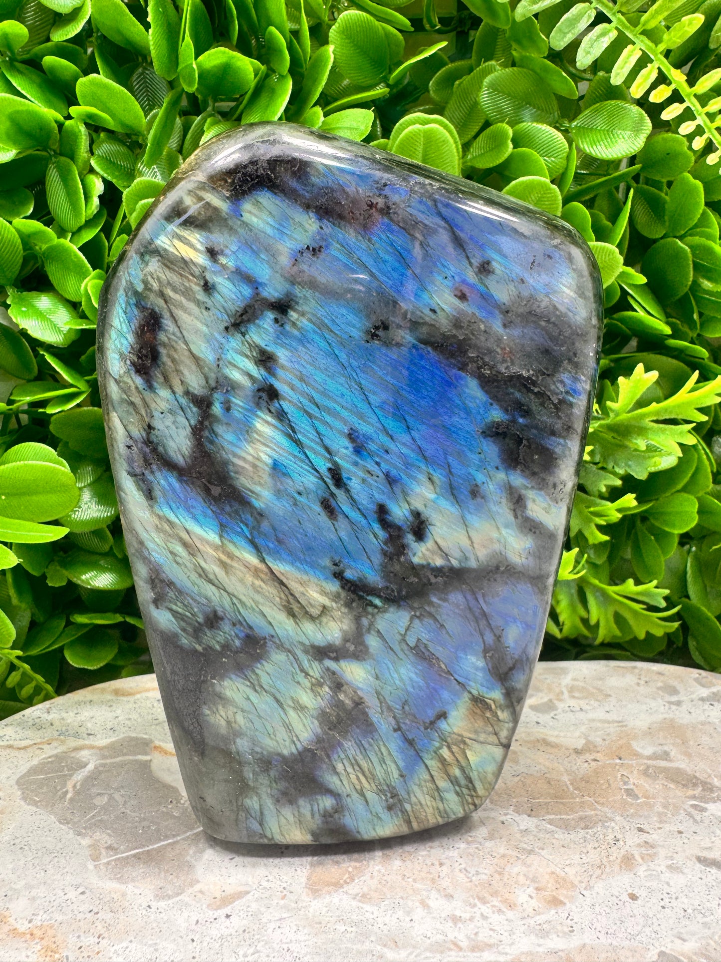 Labradorite Freeform 1446g