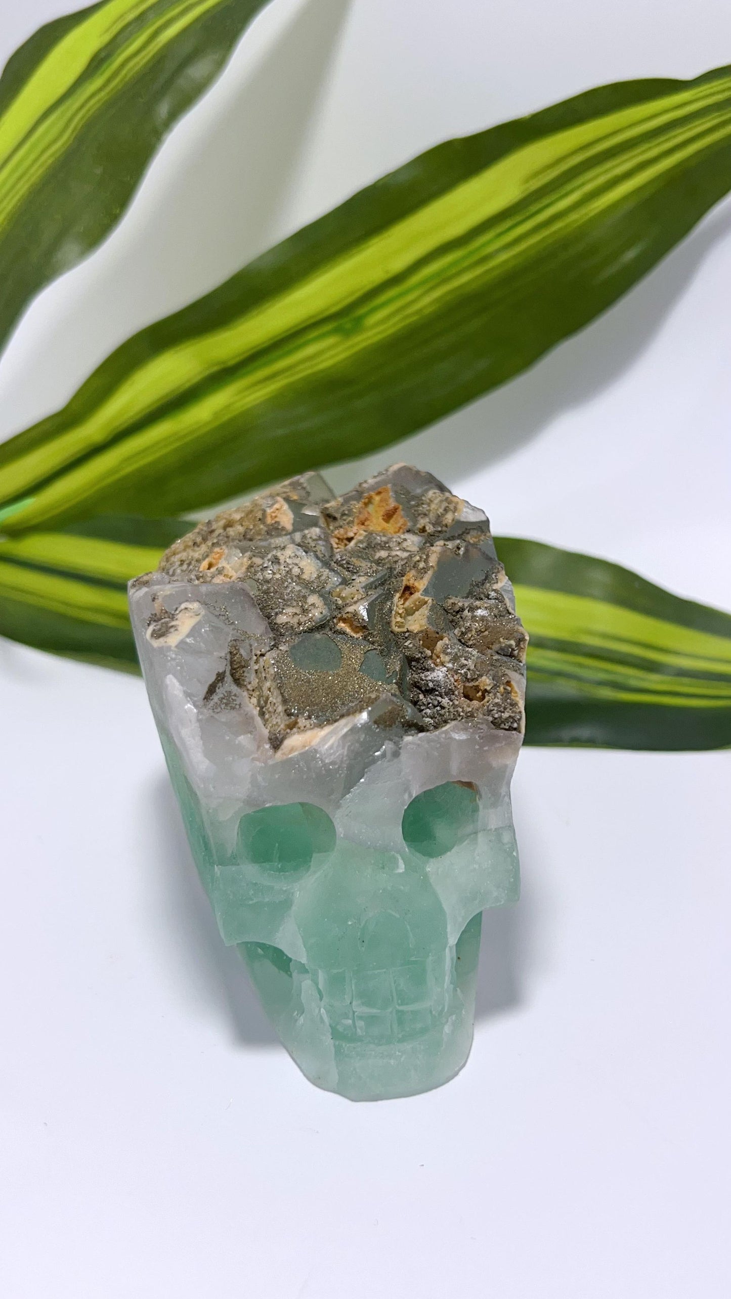 Green Fluorite Skull 790g
