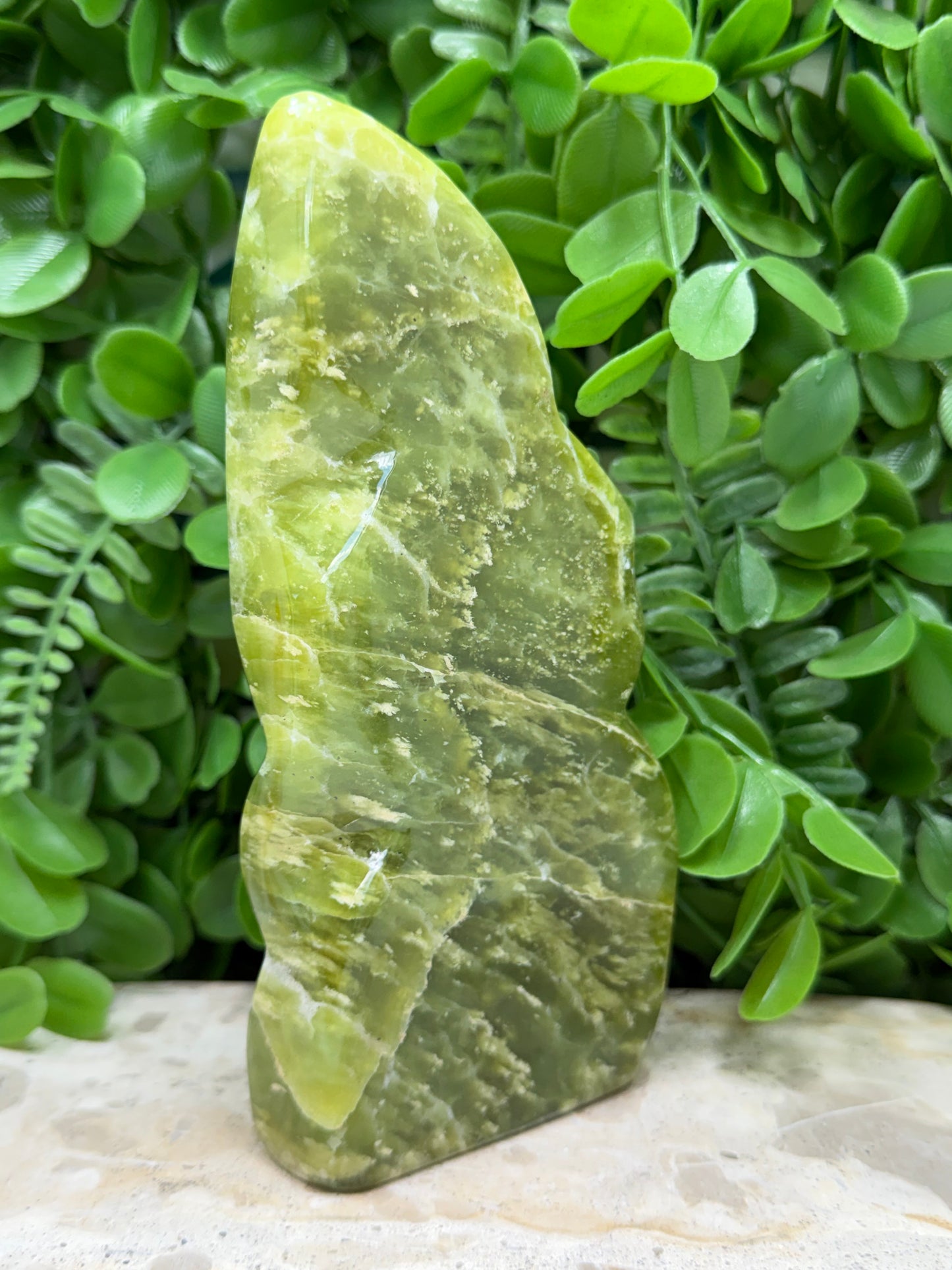 Lizard Serpentine Freeform 550g