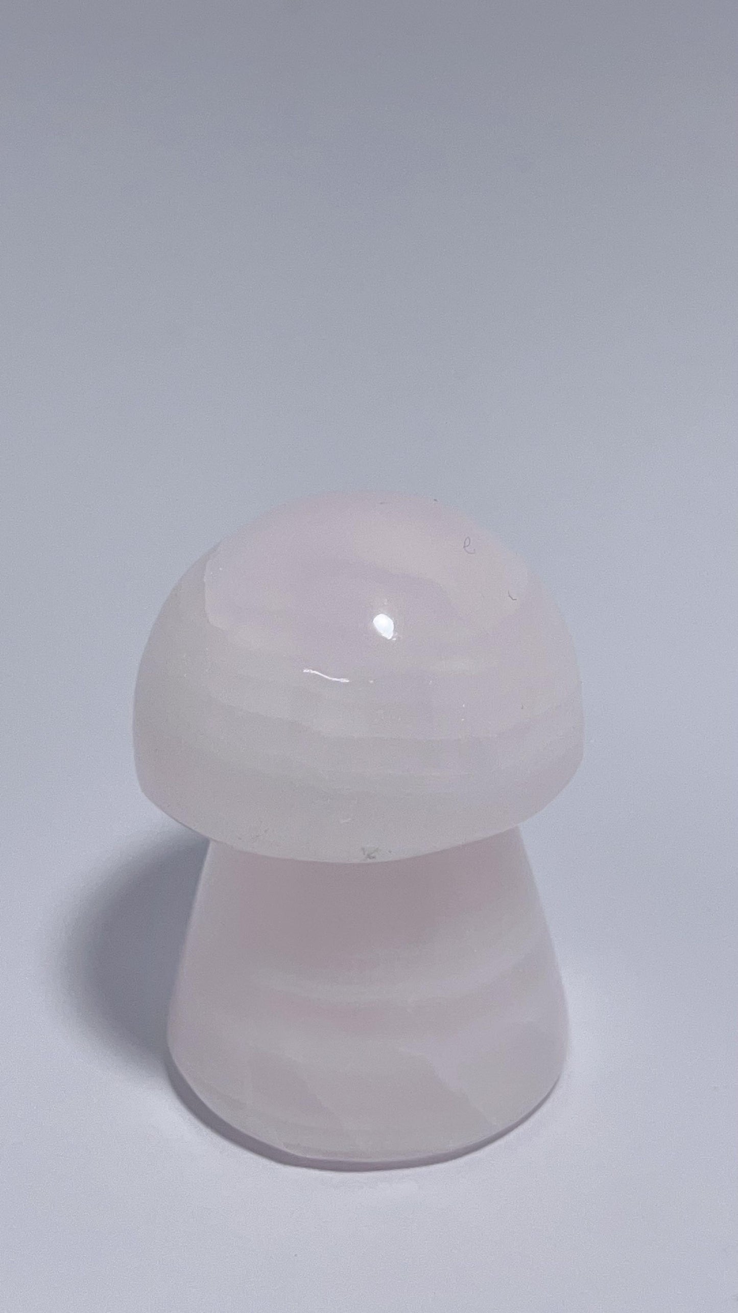Pink Mangano Mushroom 142g