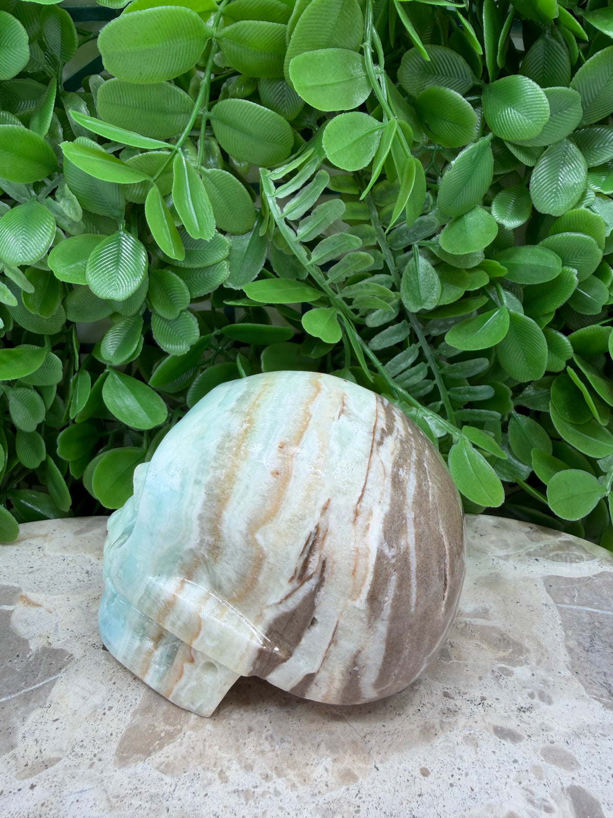 Caribbean Calcite Skull | Calm • Intuition • Emotional Healing