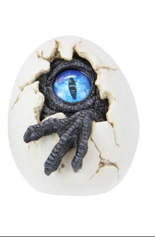 Blue Monster Egg