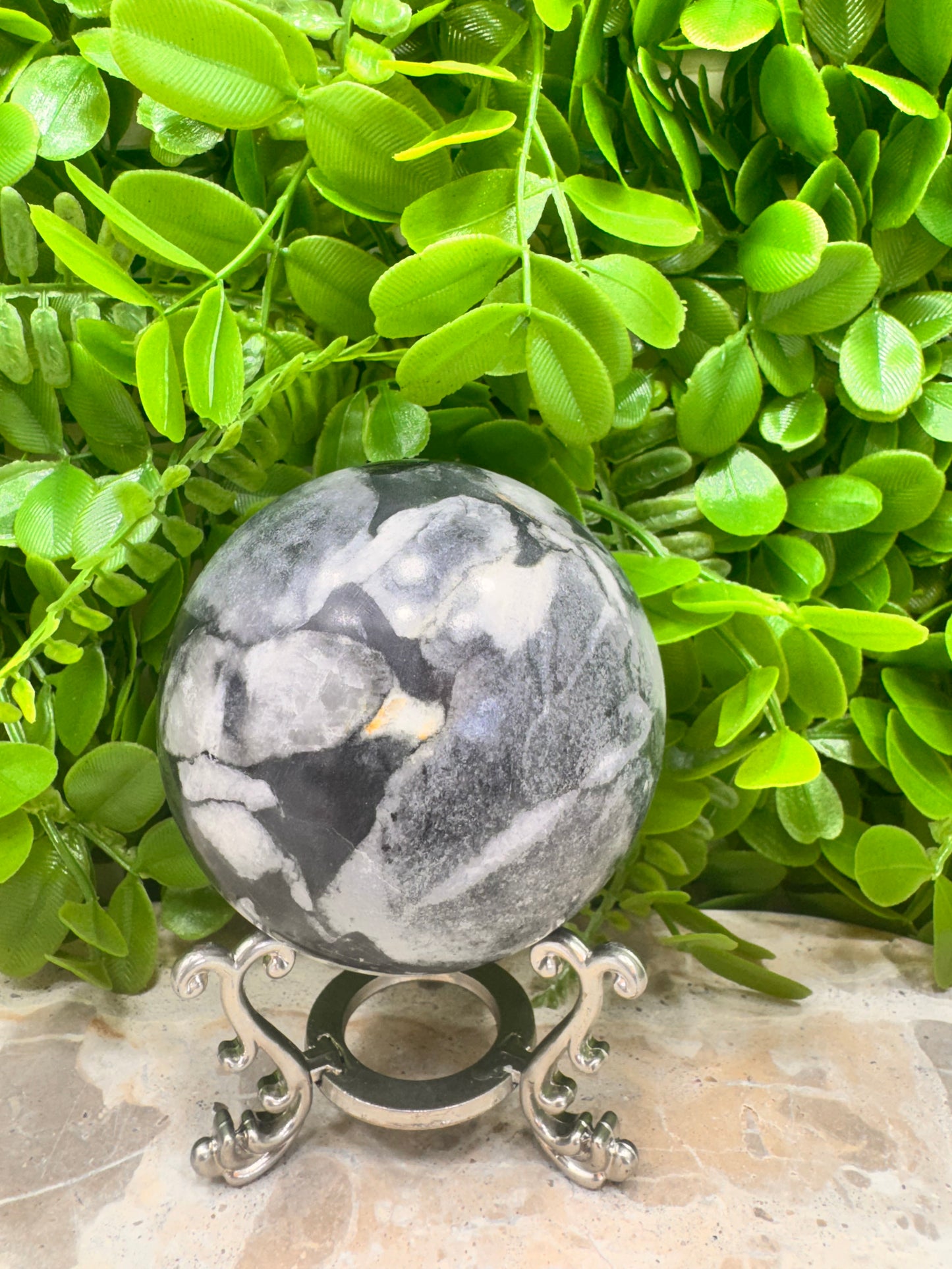 Shell Jasper Sphere 714g