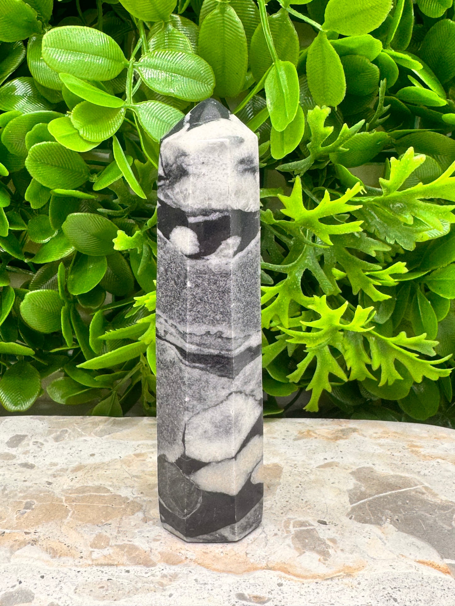 Shell Jasper Tower 220g