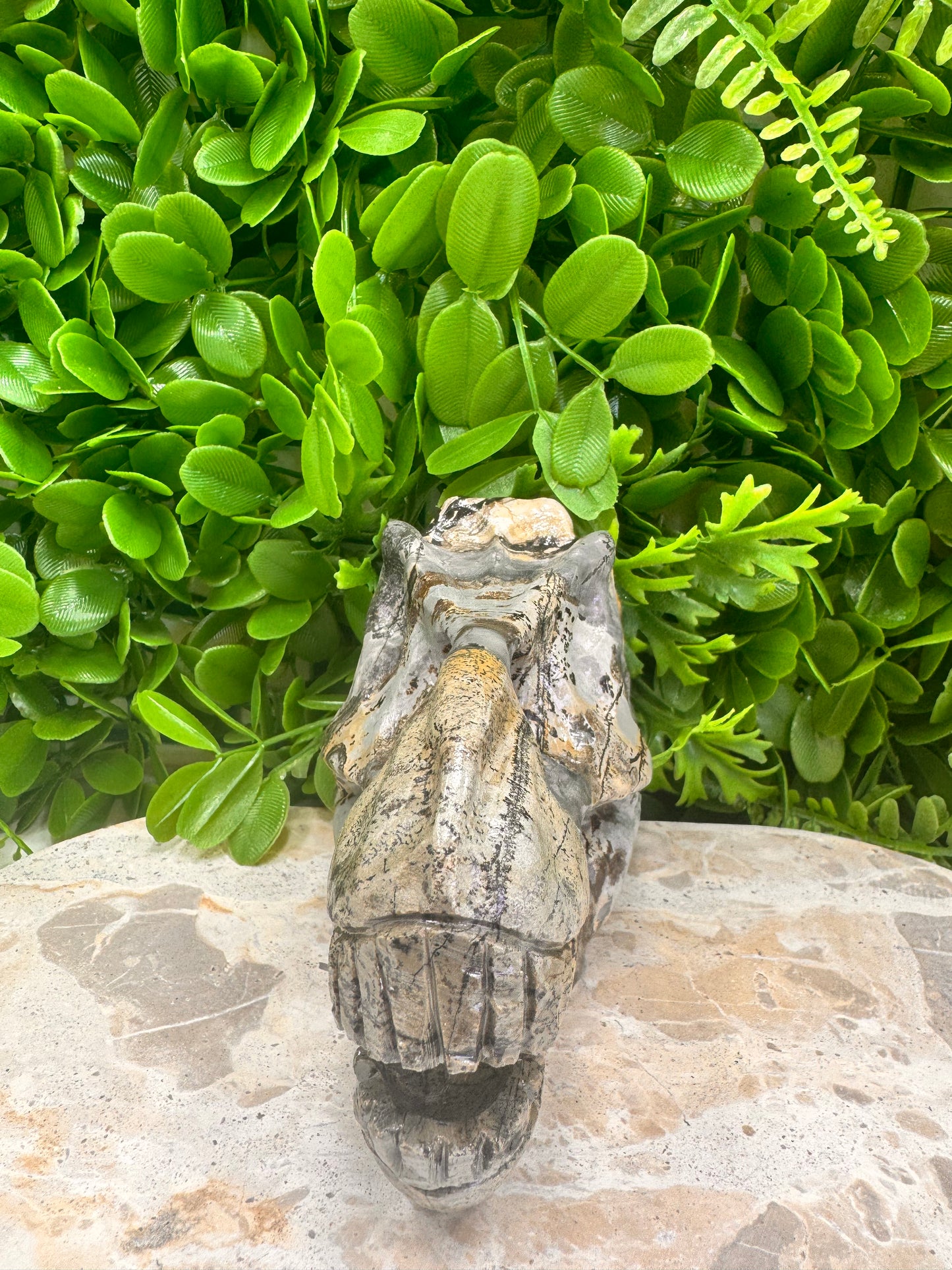 Picture Jasper Dinosaur Skull 724g