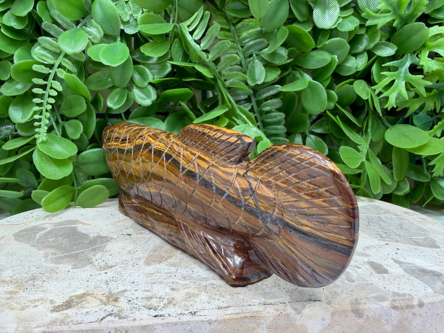 Tiger Eye/Tiger Ore Fish 456g