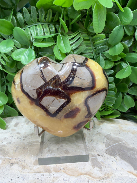 Septarian Dragon Stone 382g
