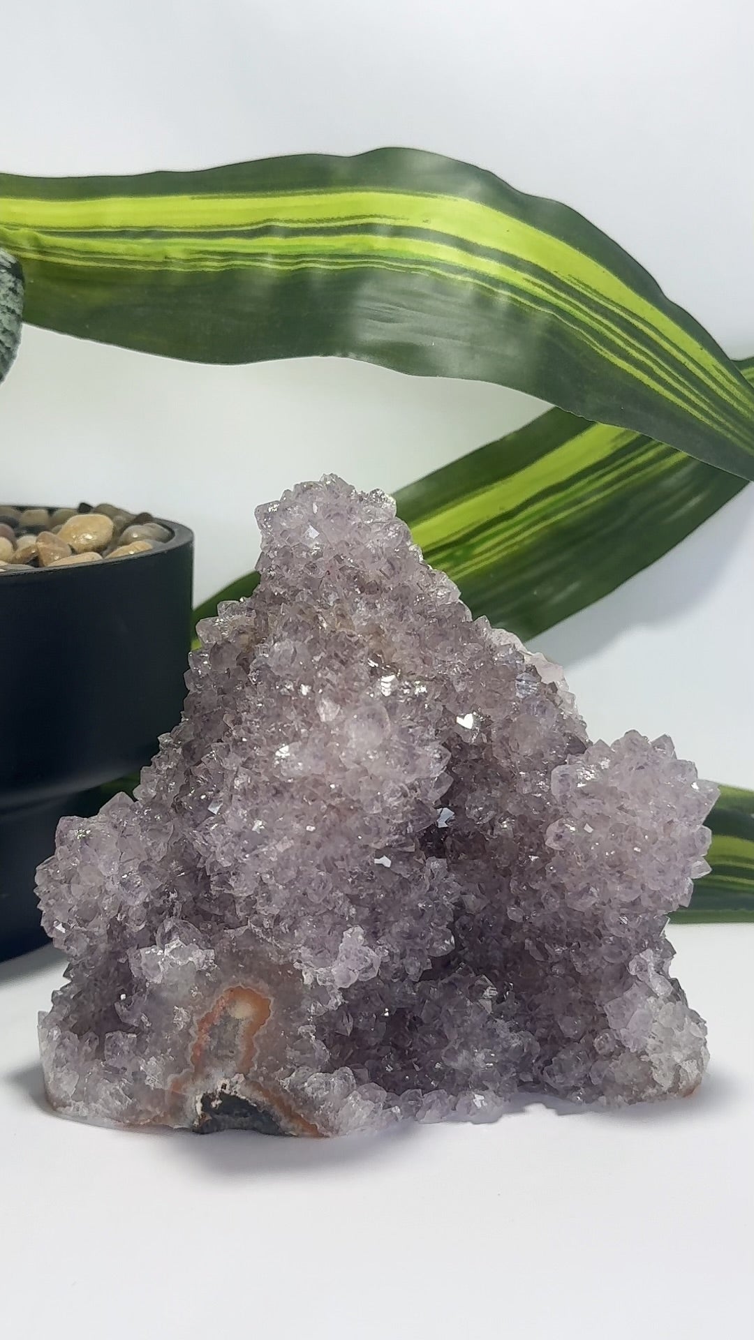 Amethyst Cluster Freeform 1.1kg