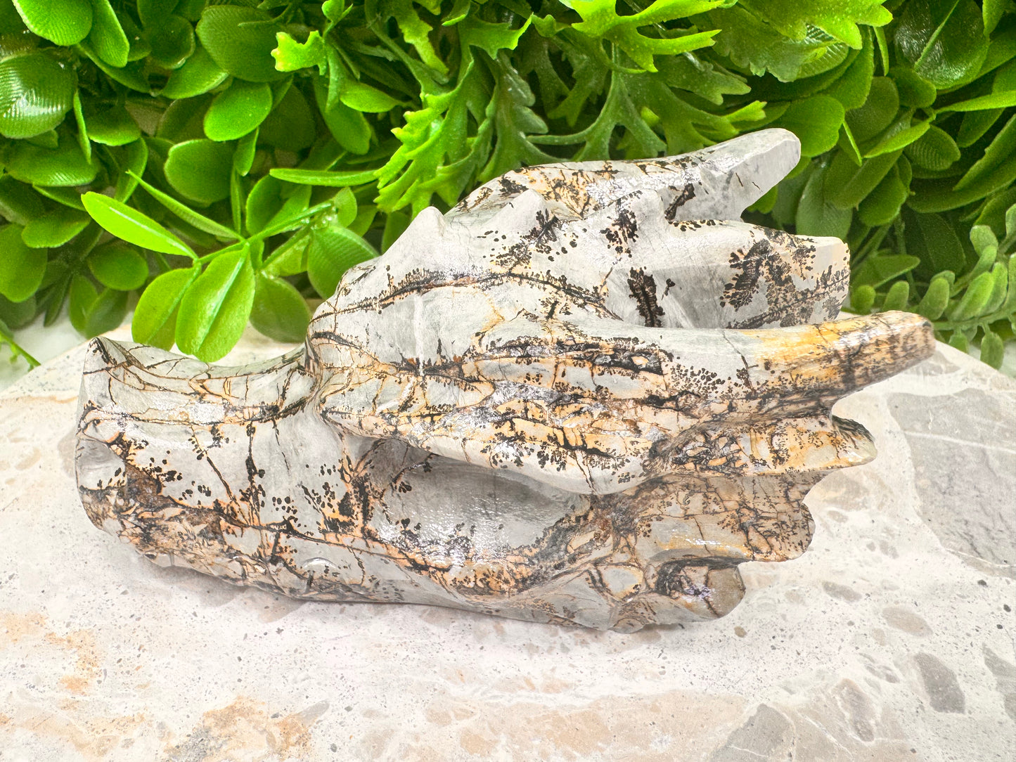 Picture Jasper Dragon Skull 530g