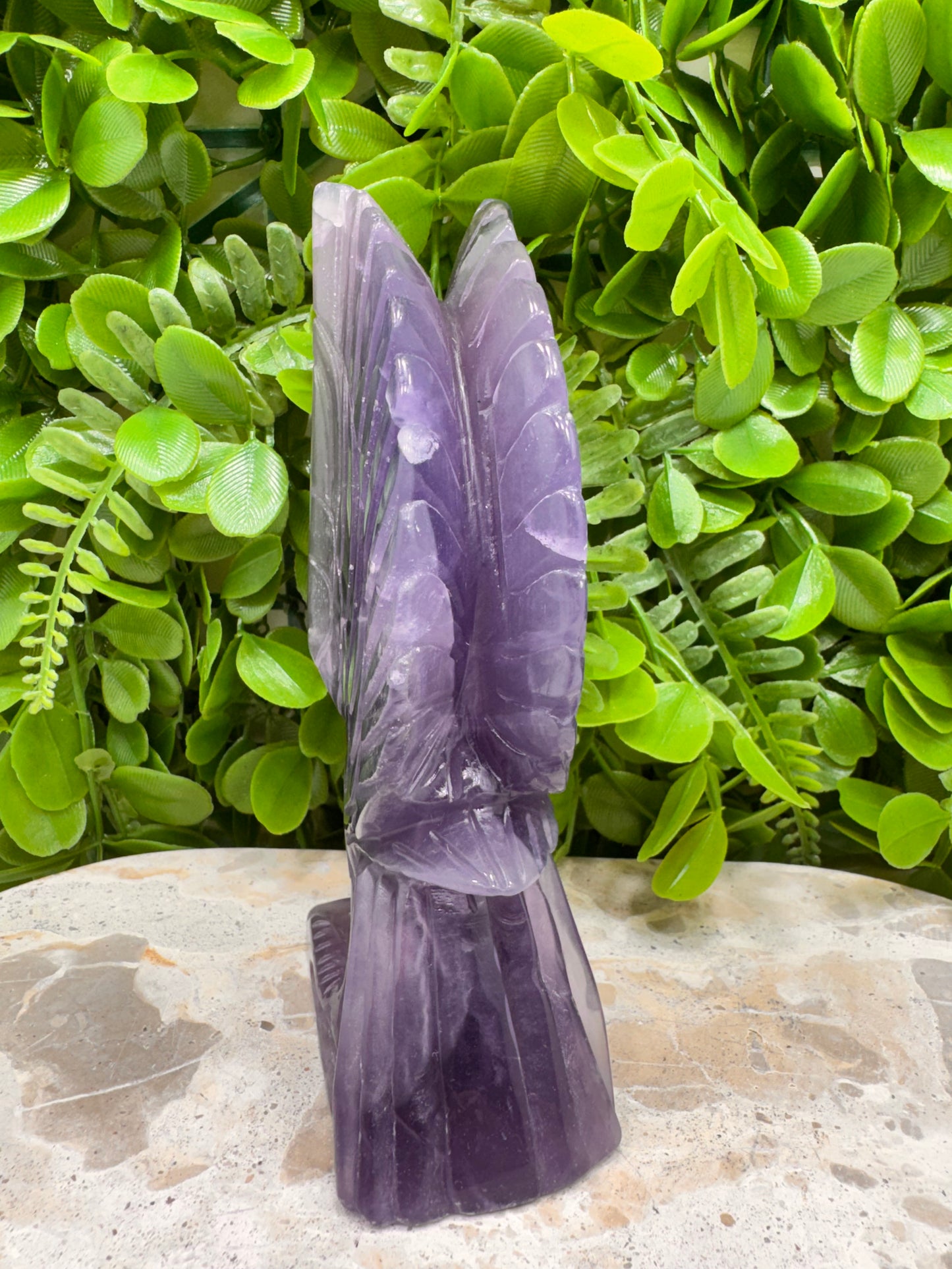 Fluorite Eagle 728g
