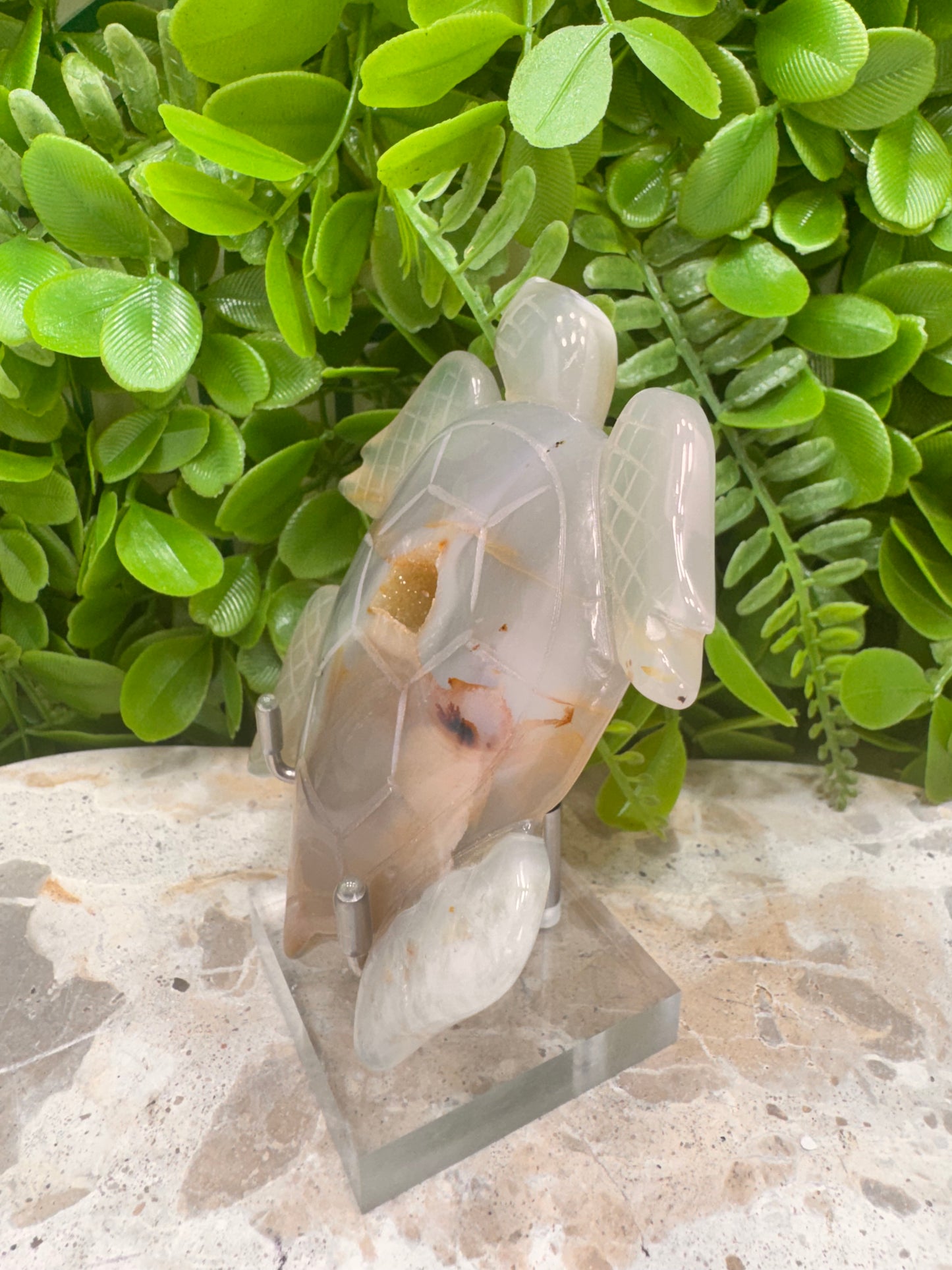 Druzy Agate Turtle 172g