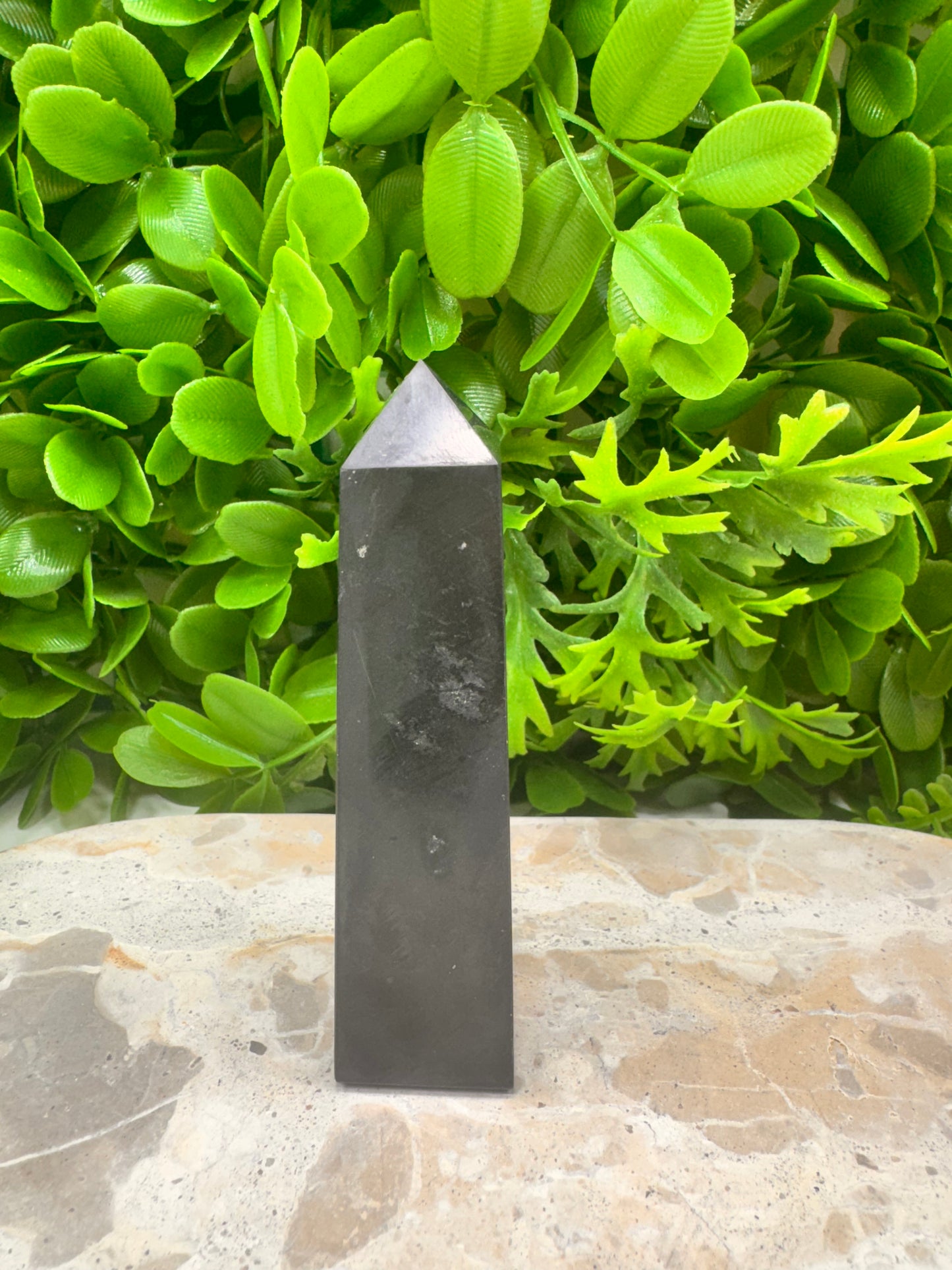 Shungite Pt 116g