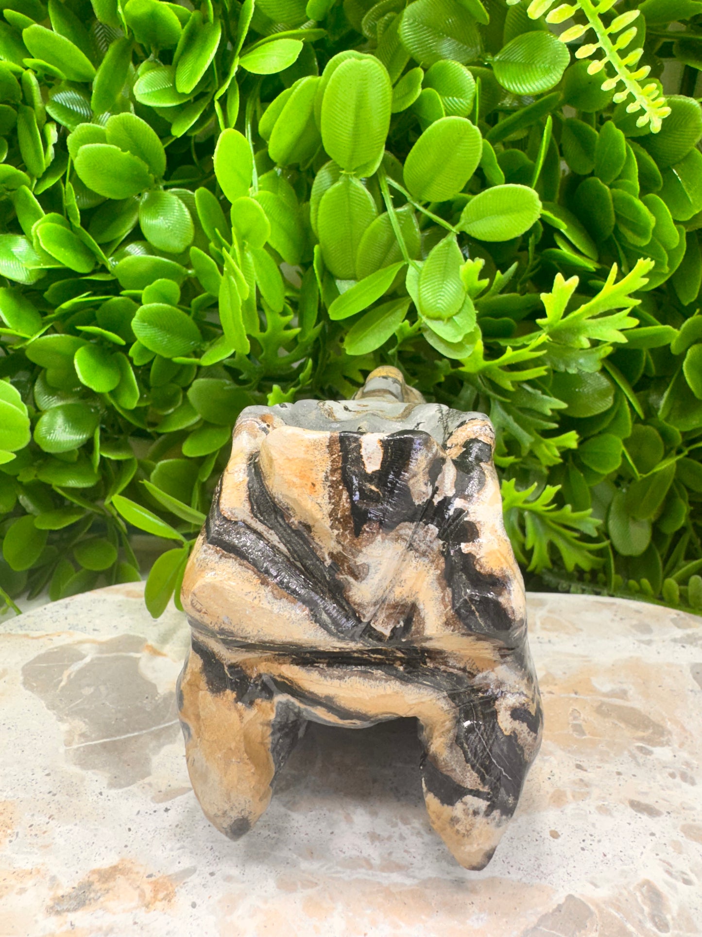 Picture Jasper Dinosaur Skull 724g