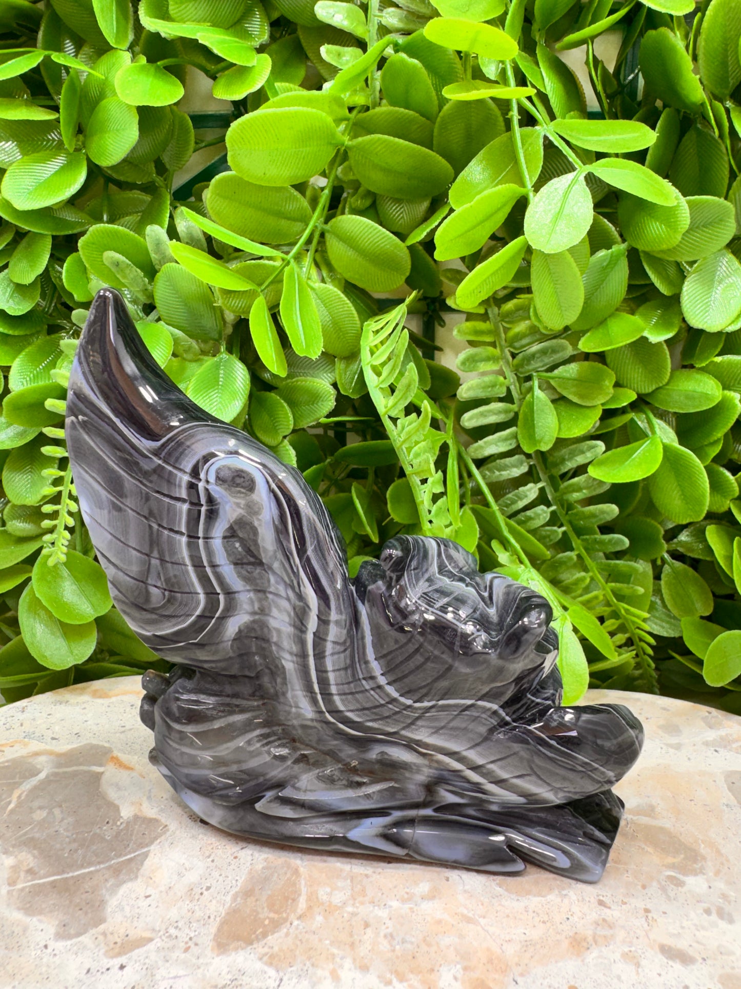 Black Agate Twin Owl Carving 404g