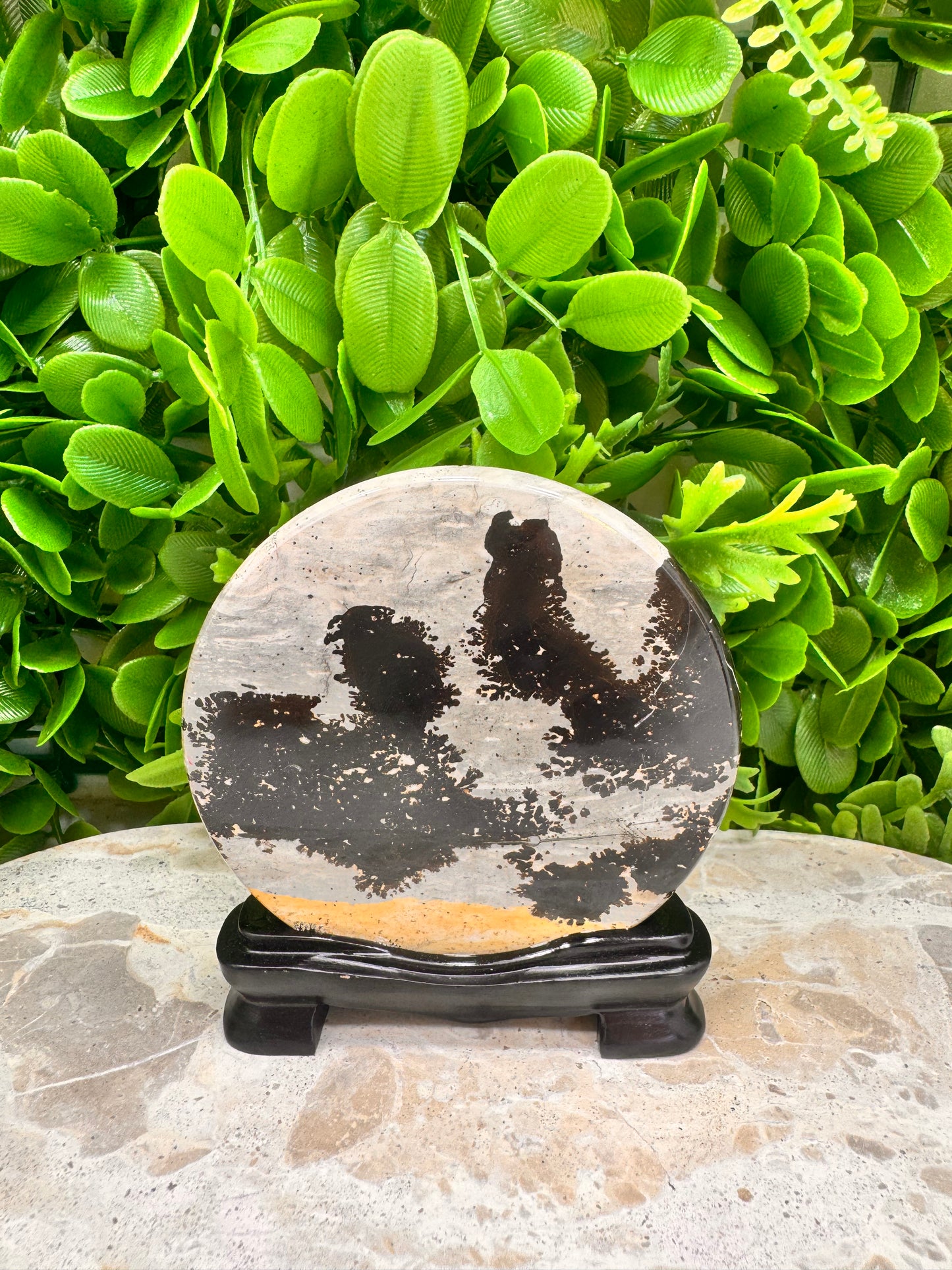 Picture Jasper on Stand 142g