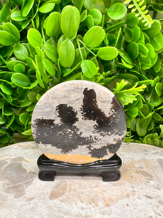 Picture Jasper on Stand 142g