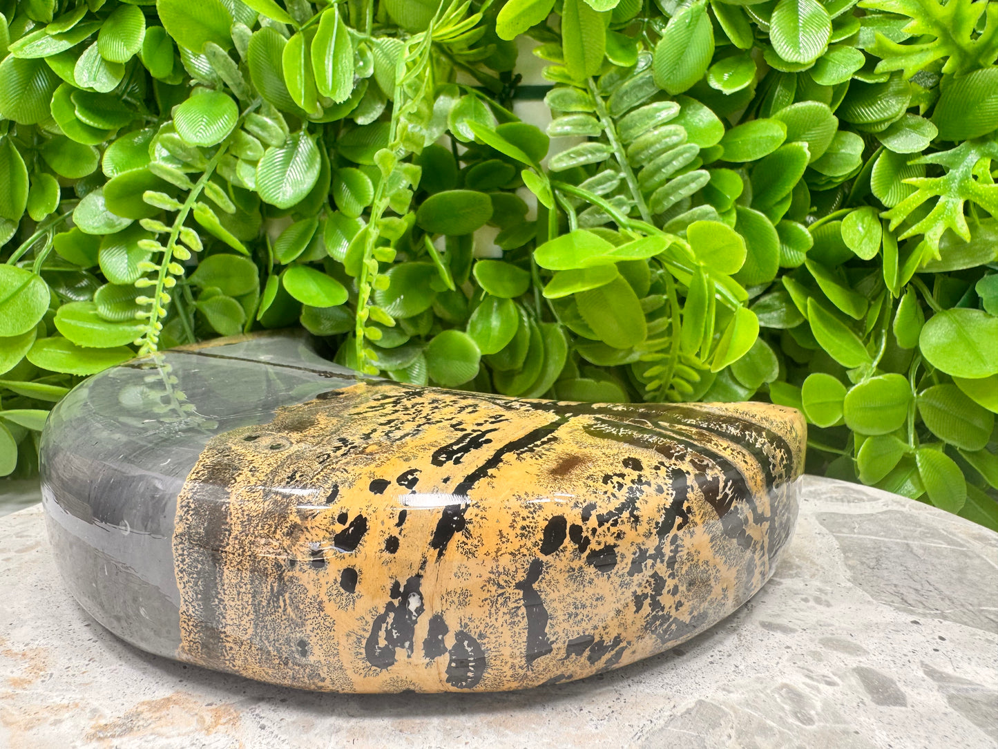 Picture Jasper Moon 1336g