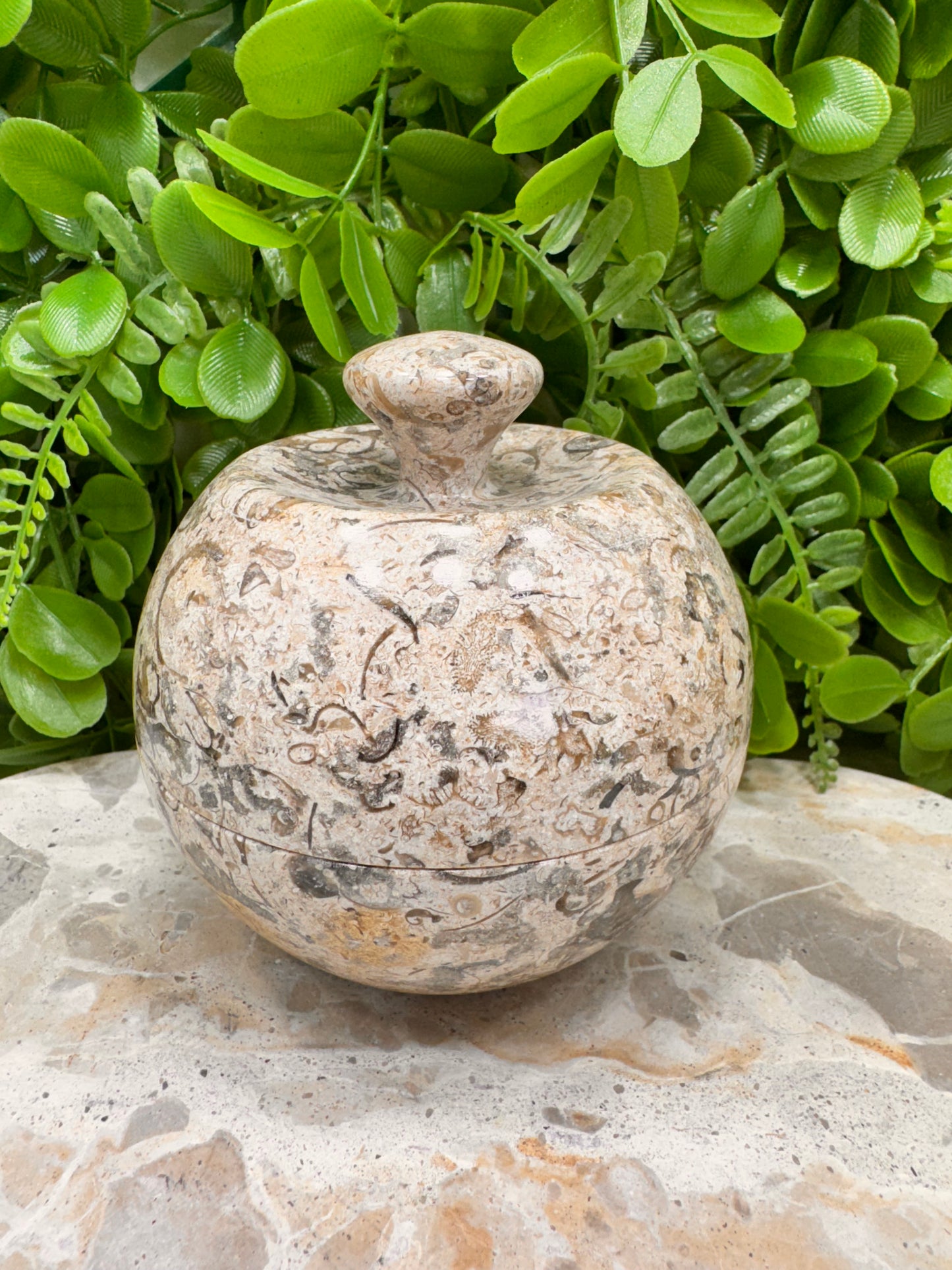 Coral Shell Apple Bowl with Lid 556g