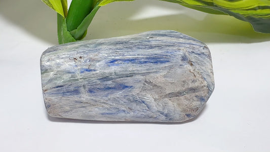Kyanite Freeform 266g