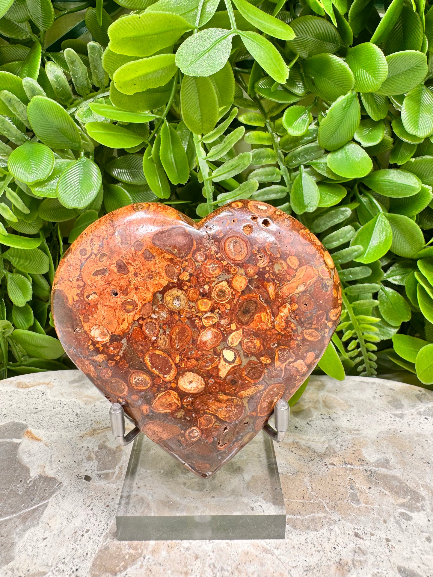 Coral Fossil Japser Heart 256g