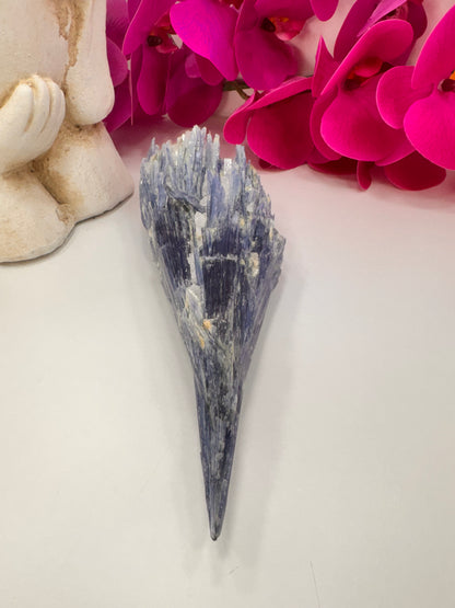Kyanite Raw 834g